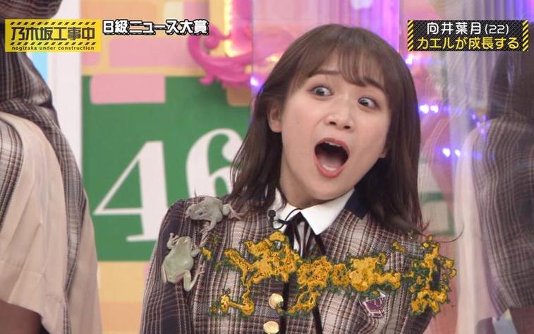 《乃木坂工事中》384：香蕉人的“坂道新人王”排位赛