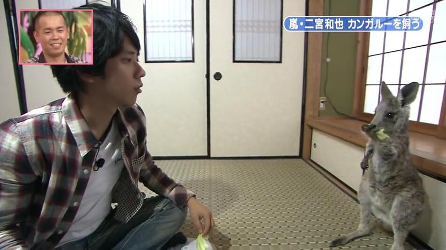 日本综艺：男扮女装大赛，闹腾又搞笑