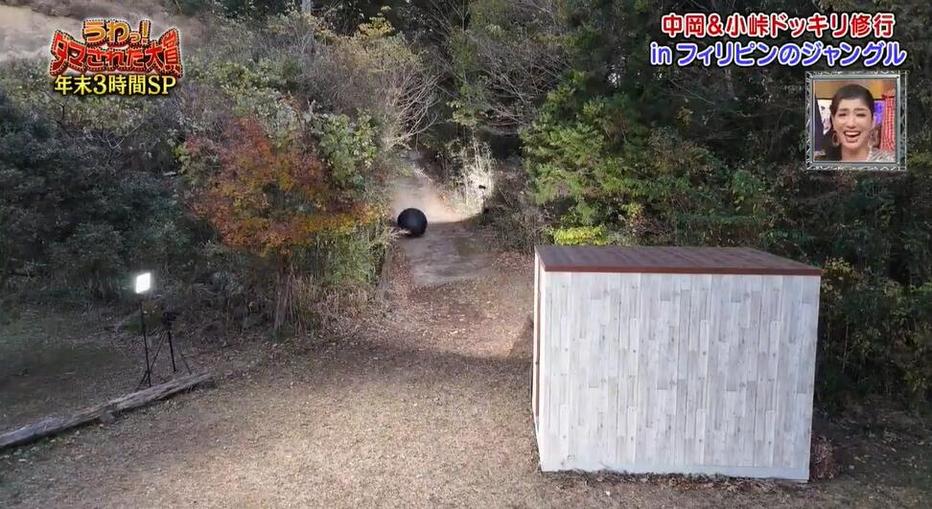 节目爆笑有惊喜！《整人大赏》游泳环节超燃