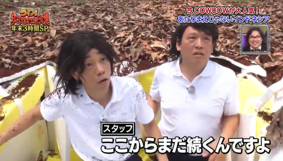 日本亲亲小屋综艺：让生活充满阳光和惊喜的节目