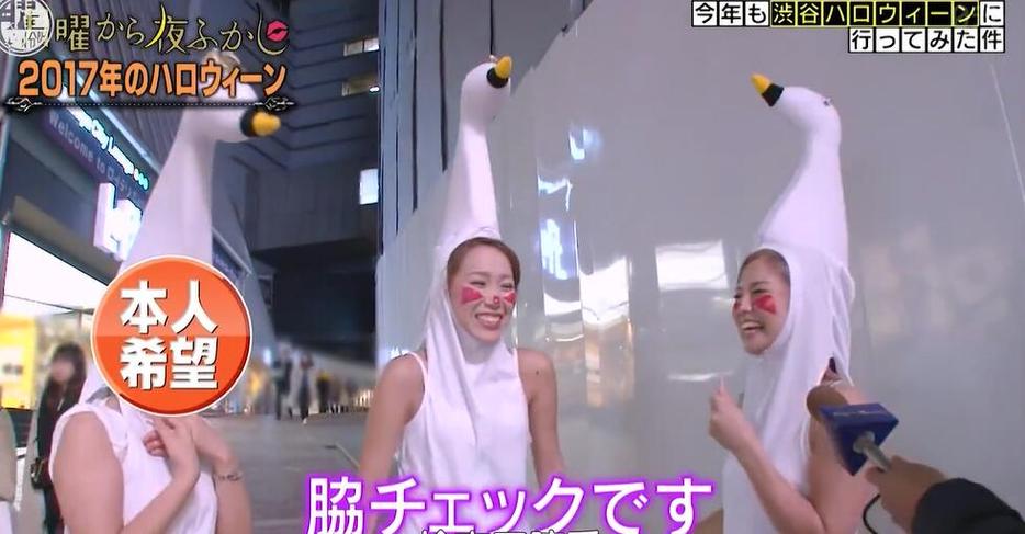 在日本综艺节目中遇到泥潭要如何应对？这里有三种实用方法告诉你
