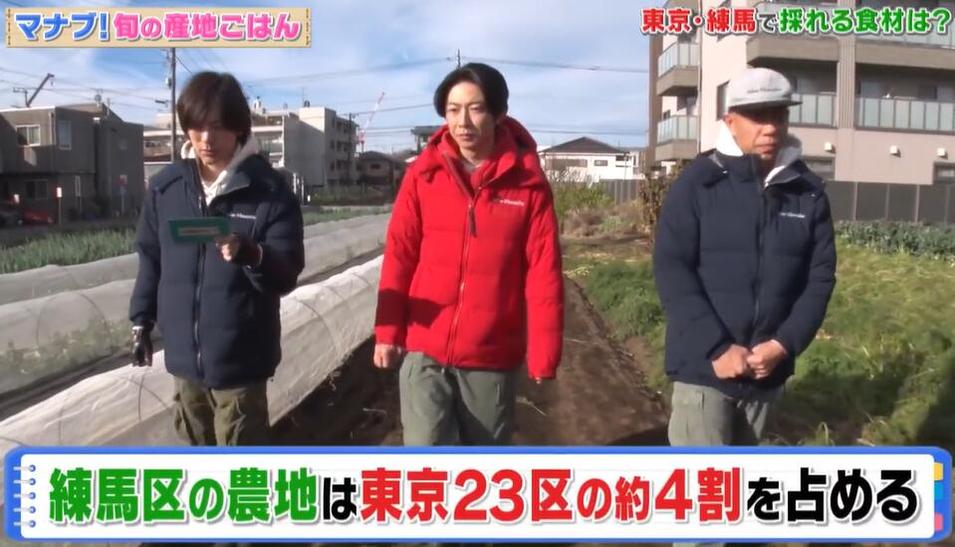 相叶雅纪的《相叶学》2013百度云，探寻神秘的科学事实